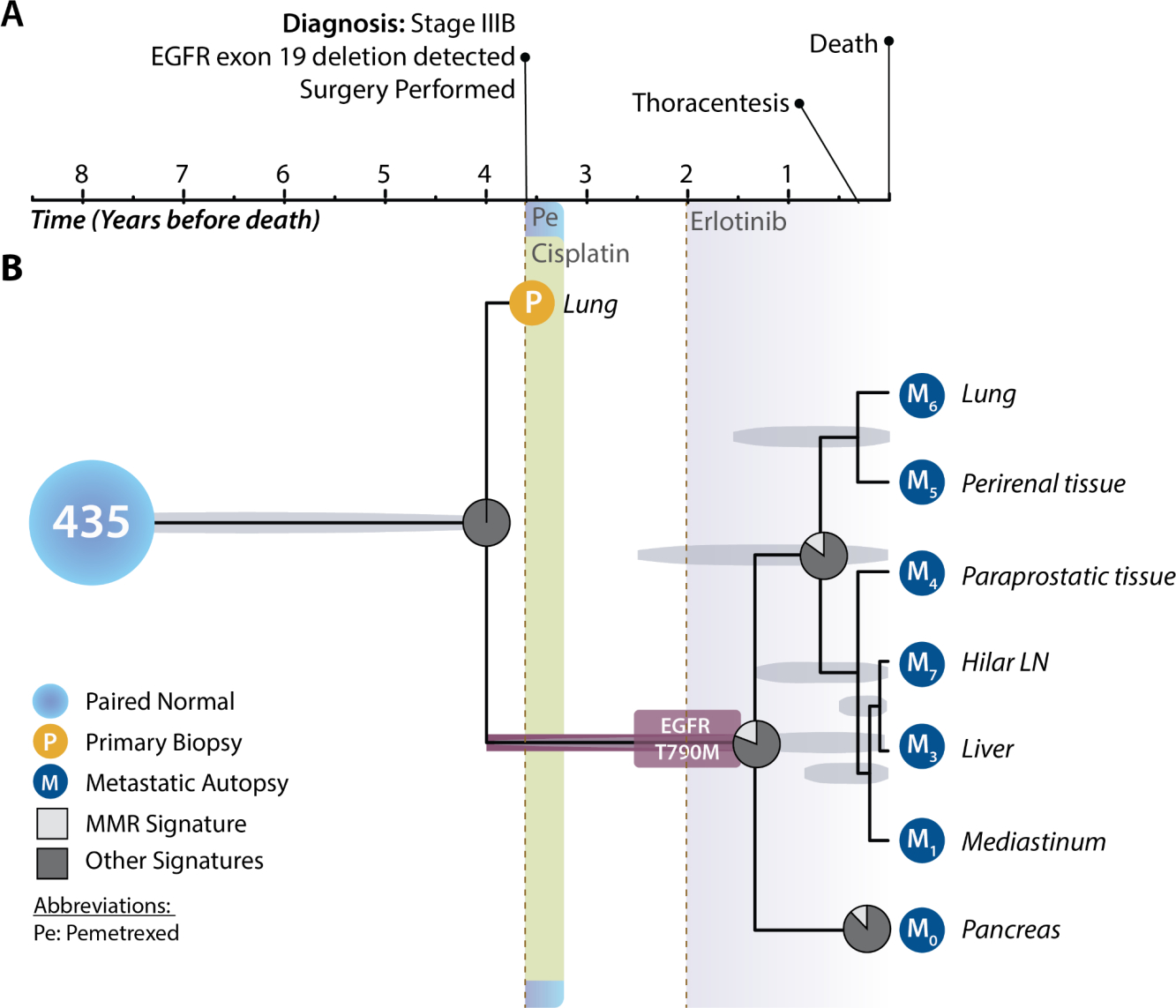 Cancer Therapeutic Resistance